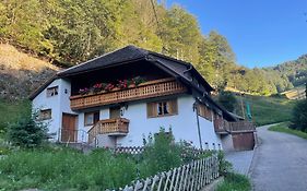 Bauernhaus im Münstertal